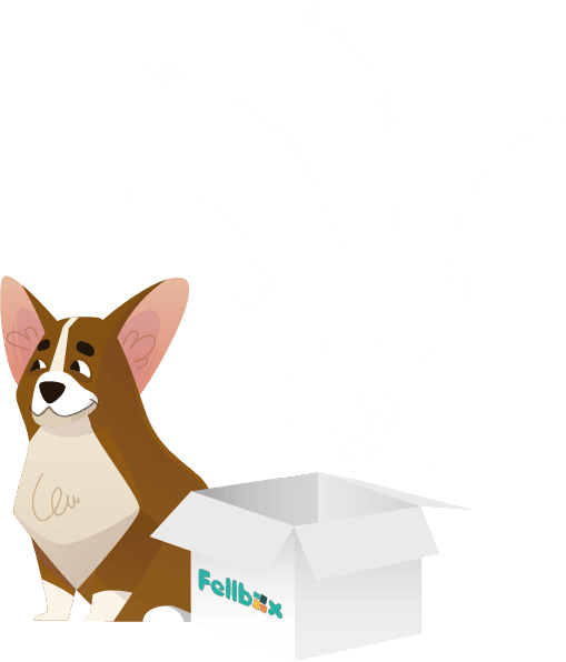 Second influencer image