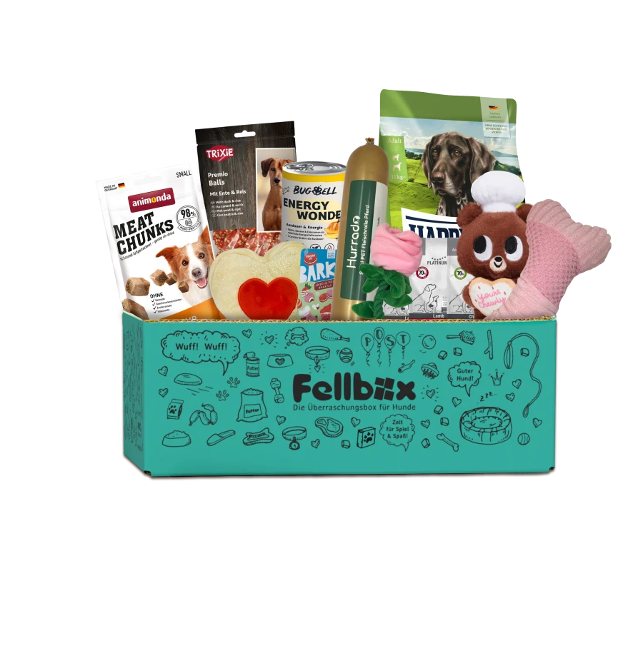 Valentinstag-Edition – Februar 2026